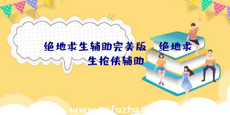 「绝地求生辅助完美版」|绝地求生枪侠辅助